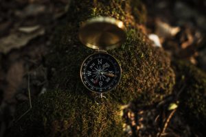 Compass on Mossy Rock