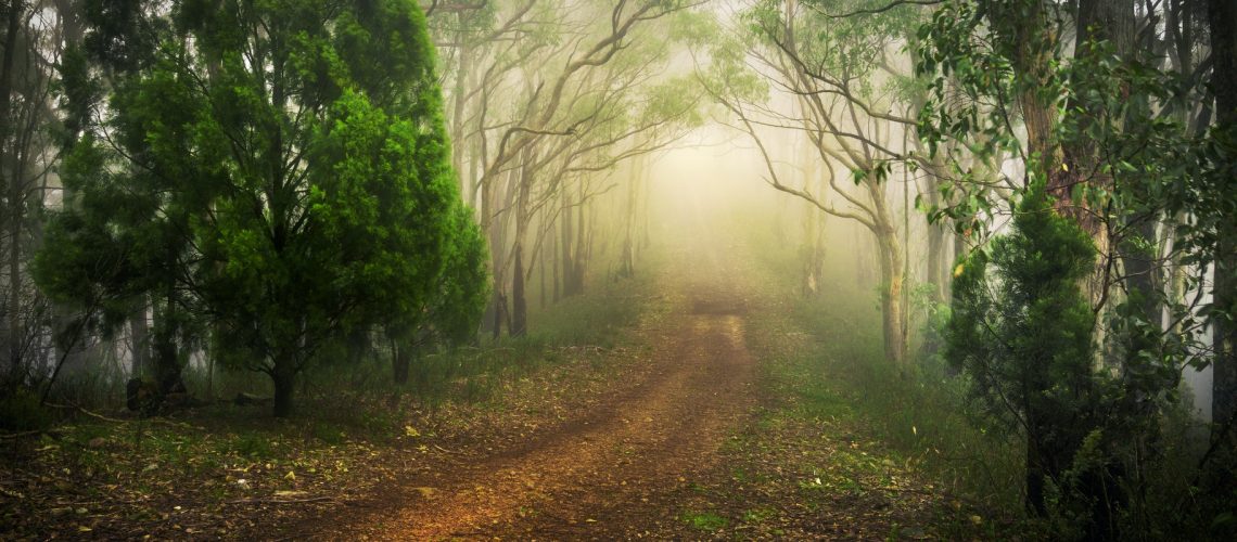 Garden Path